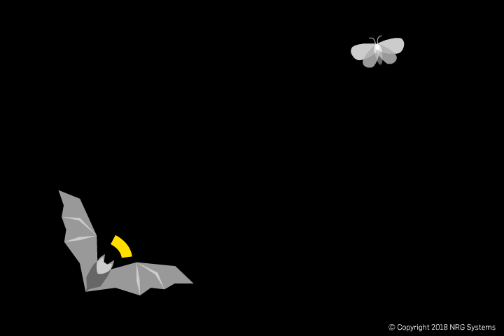 Bat Animation BAT MOTH2