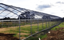 FlightCage3 1