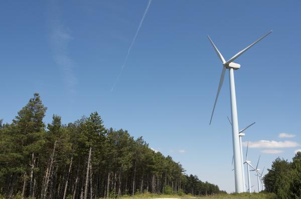 NRG Systems wind turbine bat deterrent