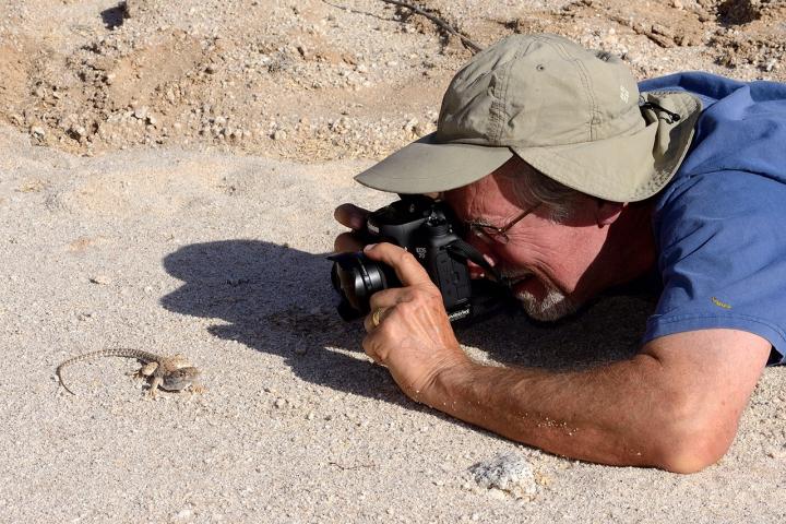Bruce photographing a leopard lizard