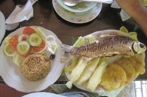 A delicious coastal restaurant meal