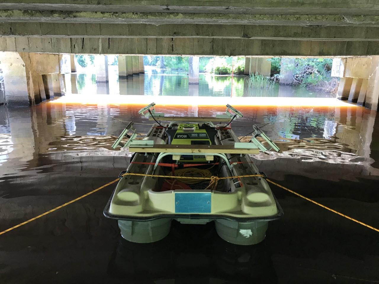 How a “Bat Barge” Protected a Colony of Bats in